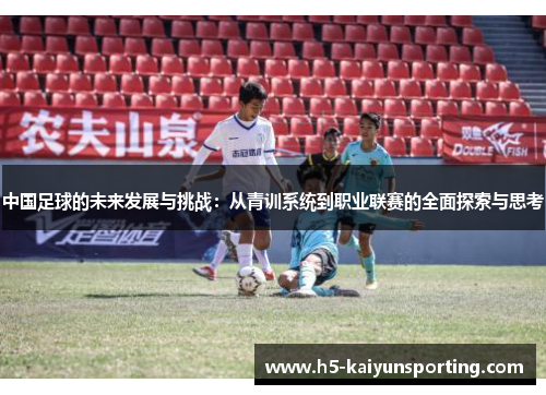 中国足球的未来发展与挑战：从青训系统到职业联赛的全面探索与思考